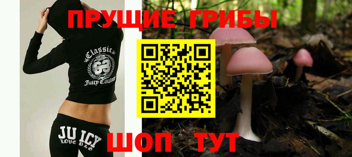 Галлюциногенные грибы MAGIC MUSHROOMS Строитель