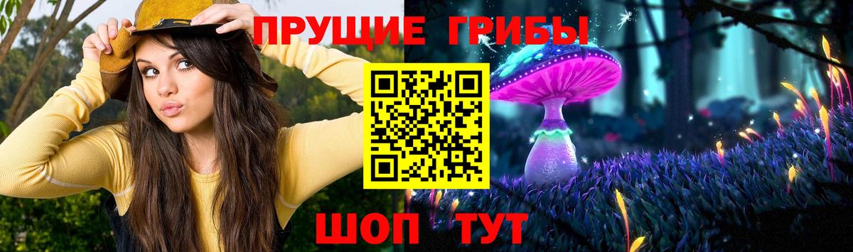 где купить наркоту  Псилоцибиновые грибы Psilocybe  Строитель  Вход с VPN  Галлюциногенные грибы мухоморы 