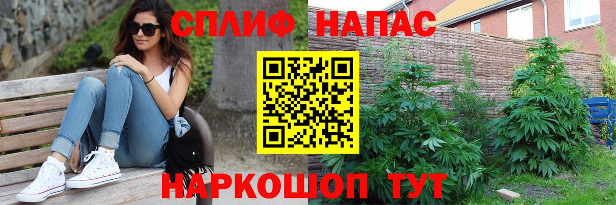 Строитель  Канабис план  МАРИХУАНА сатива  Конопля тримм  Вход с VPN 